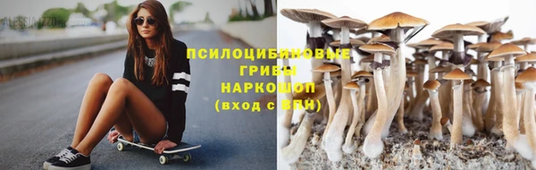 прущий лед Липки