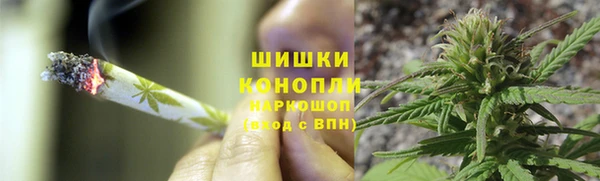 прущий лед Липки