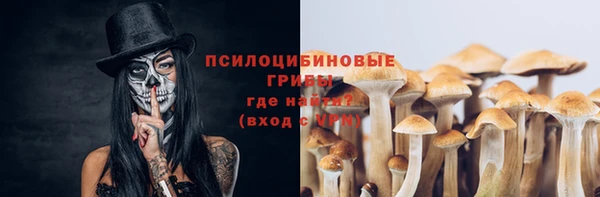 хмурый Лагань