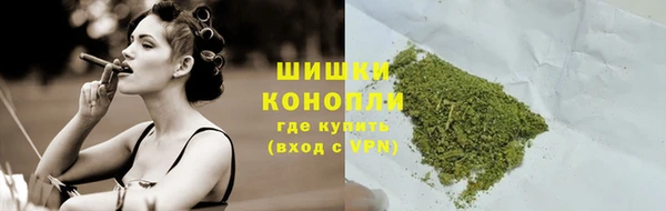 хмурый Лагань