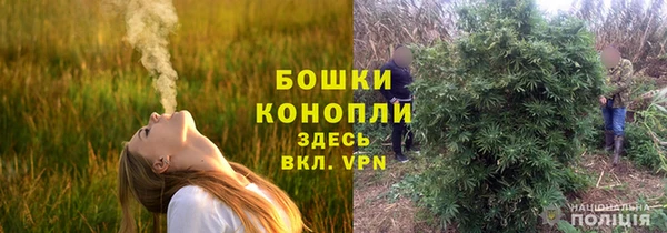 прущий лед Липки
