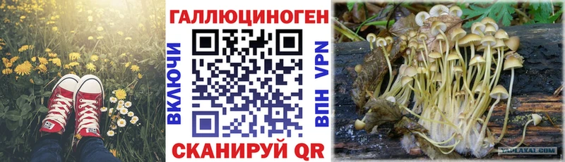 Галлюциногенные грибы Magic Shrooms Микунь